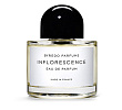 Inflorescence Byredo